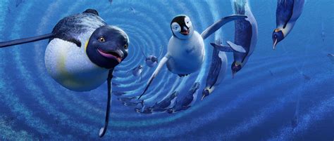 Happy Feet Veterinary .